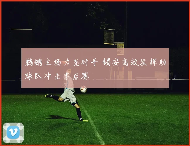 鹈鹕主场力克对手 锡安高效发挥助球队冲击季后赛