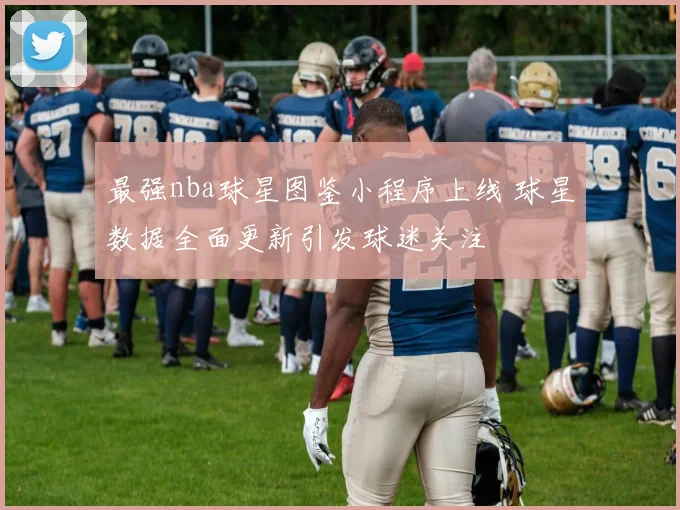 最强nba球星图鉴小程序上线 球星数据全面更新引发球迷关注