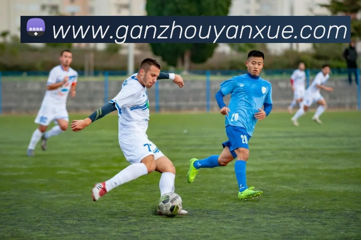 多媒体互动体验