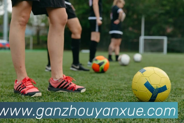 星空体育在线观看平台APP 高清赛事图